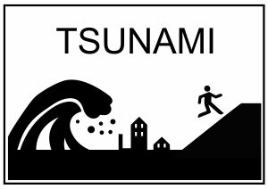 Qué hacer ante un Tsunami