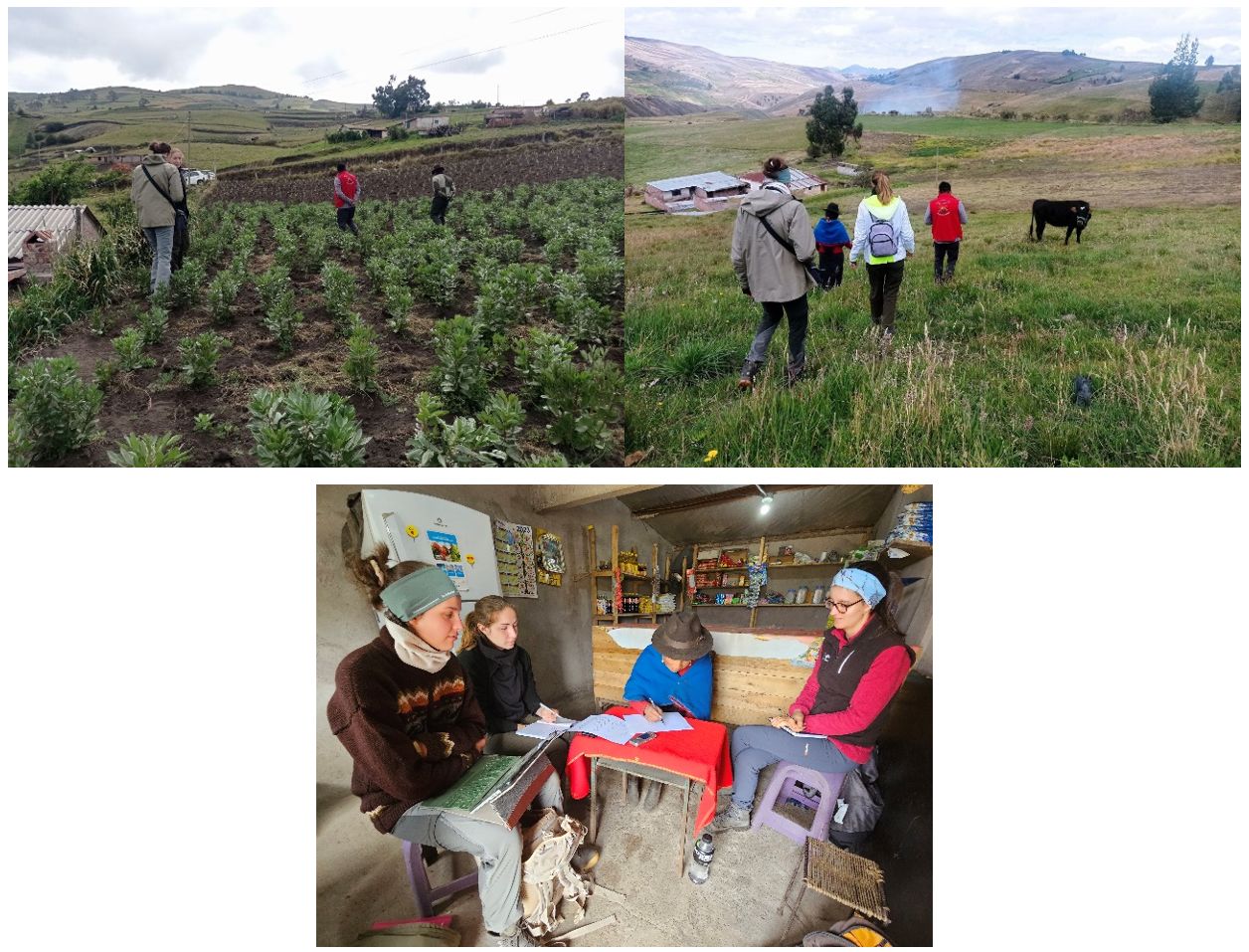 Participación de la visita de campo del Proyecto “Vulnerabilidad de la Agricultura y Ganadería a la Caída de Cenizas del Volcán Tungurahua y Sangay”